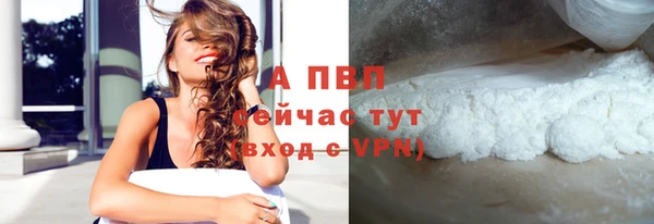 дживик Касимов