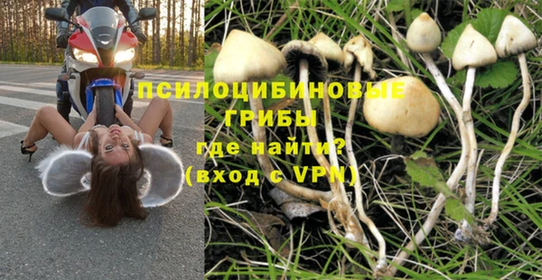 тгк Балахна