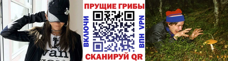 omg   Бокситогорск  Псилоцибиновые грибы Cubensis 